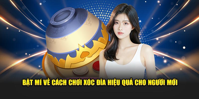 Bật mí về cách chơi xóc đĩa hiệu quả cho người mới